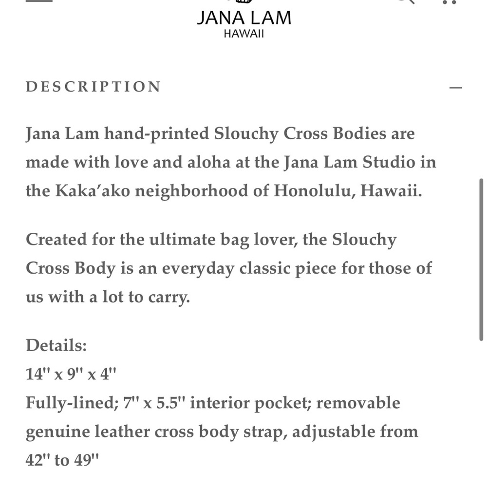 Jana Lam - Slouchy Crossbody in Denim Pineapple 🍍 - Picture 10 of 10